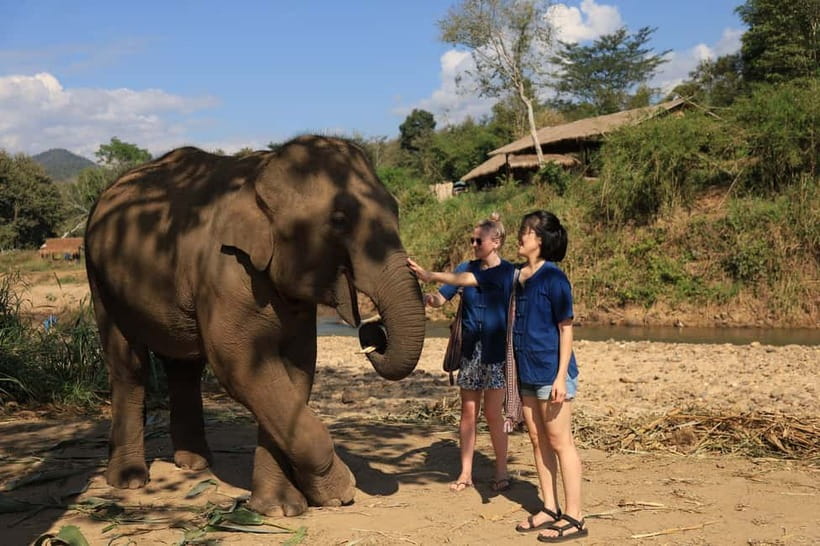Chiang Mai: Doi Inthanon Hiking & Elephant Sanctuary Program - What to bring for a smoother day