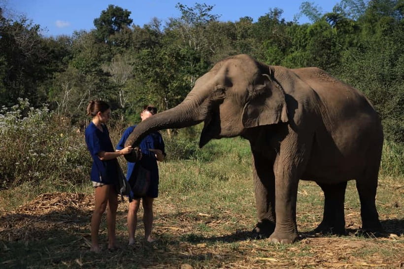 Chiang Mai: Doi Inthanon Hiking & Elephant Sanctuary Program - Pad Thai, fresh clothes, and a mountain road