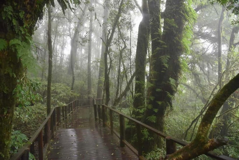 Chiang Mai: Doi Inthanon National Park and Kew Mae Pan Tour - Why Doi Inthanon makes a good day trip