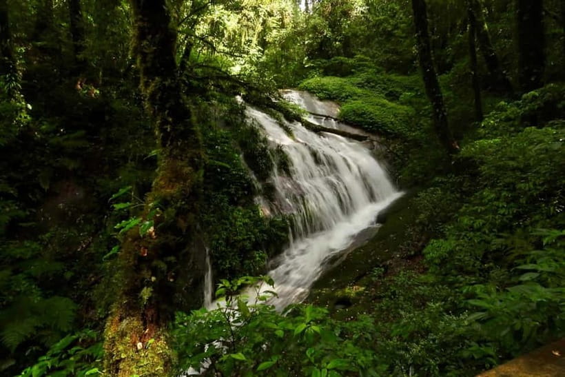 Chiang Mai: Doi Inthanon National Park and Kew Mae Pan Tour - Walking the Kew Mae Pan Nature Trail