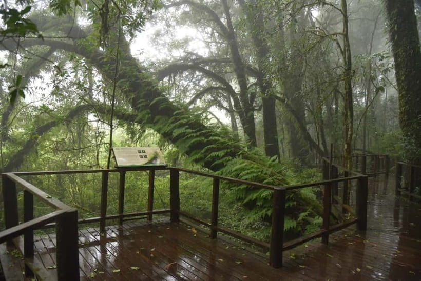 Chiang Mai: Doi Inthanon National Park and Kew Mae Pan Tour - Guides, transport, and what the $61 covers