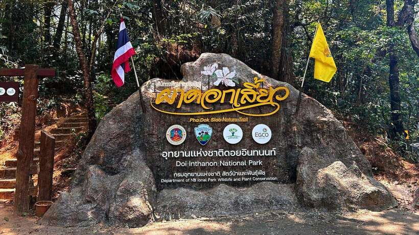 Chiang Mai: Doi Inthanon National Park and Pha Dok Siew Trek - Key points at a glance