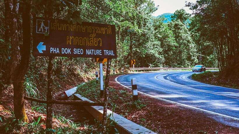 Chiang Mai: Doi Inthanon National Park and Pha Dok Siew Trek - Who should book this Doi Inthanon tour?
