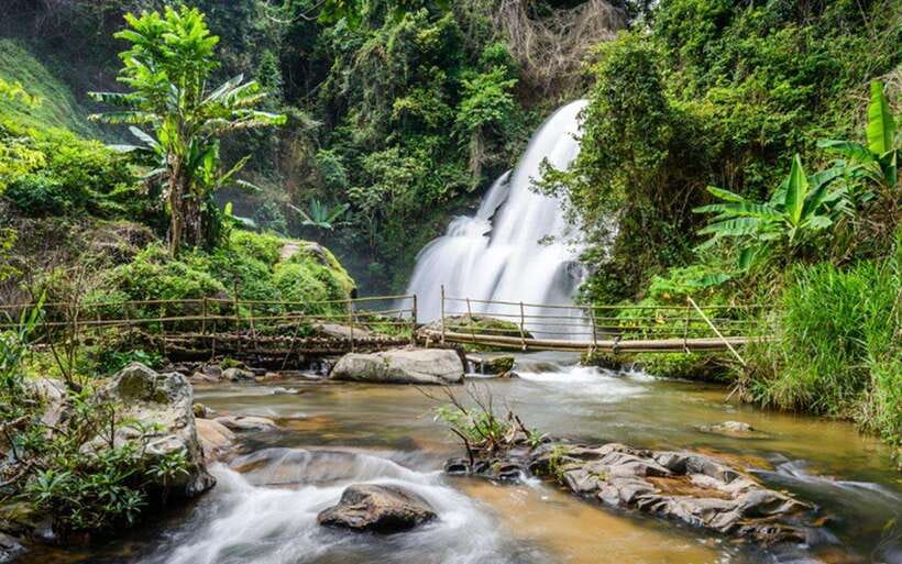 Chiang Mai: Doi Inthanon National Park and Pha Dok Siew Trek - Coffee, snacks, and the road into the mountains
