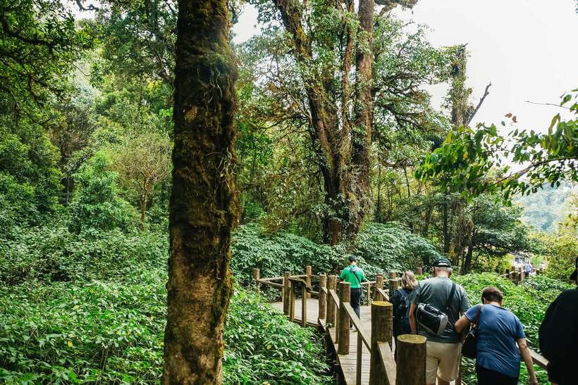 Chiang Mai: Doi Inthanon National Park Eco-Friendly Tour - The Twin Pagodas and their wide mountain views