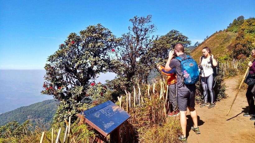 Chiang Mai:Doi Inthanon National Park & Hike at Kew Mae Pan - Why Doi Inthanon makes a good day trip