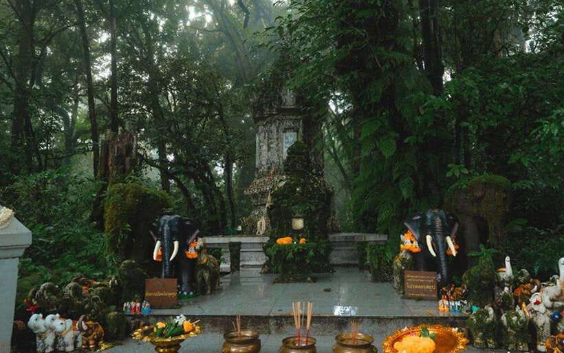 Chiang Mai: Doi Inthanon National Park Sightseeing Only - What the $39 price really covers