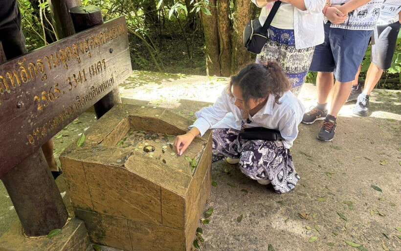 Chiang Mai: Doi Inthanon National Park Sightseeing Only - The summit and Ang Ka Luang Nature Trail