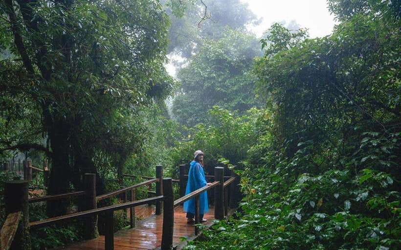 Chiang Mai: Doi Inthanon National Park Sightseeing Only - Sirithan Waterfall brings the forest closer