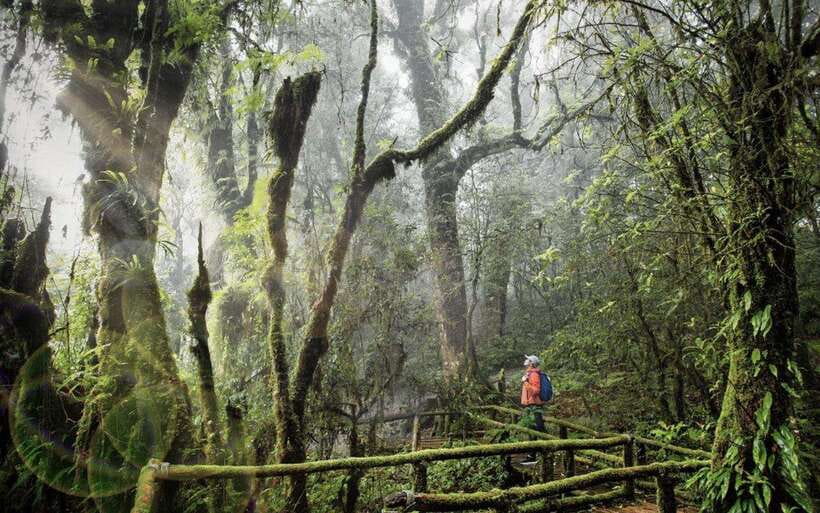 Chiang Mai: Doi Inthanon National Park Sightseeing Only - From Chiang Mai streets to mountain roads