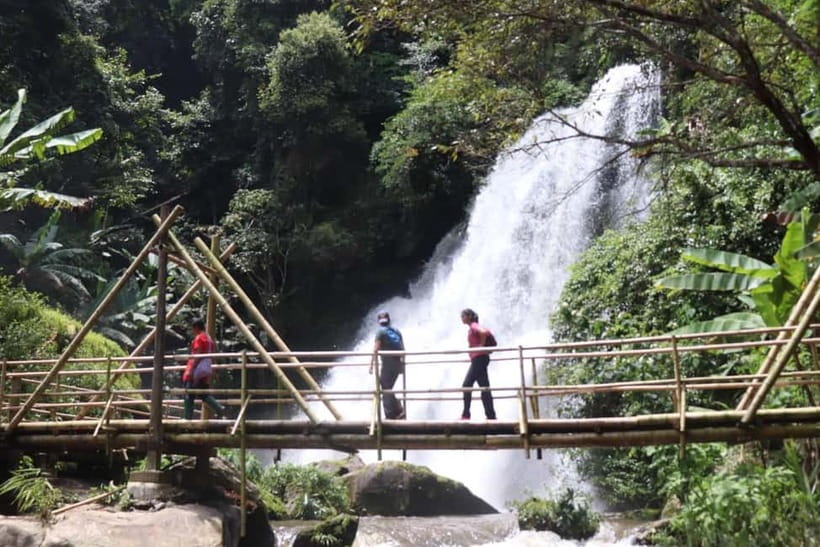Chiang Mai: Doi Inthanon National Park+Trek Pha Dok Siew - A long mountain day from Chiang Mai