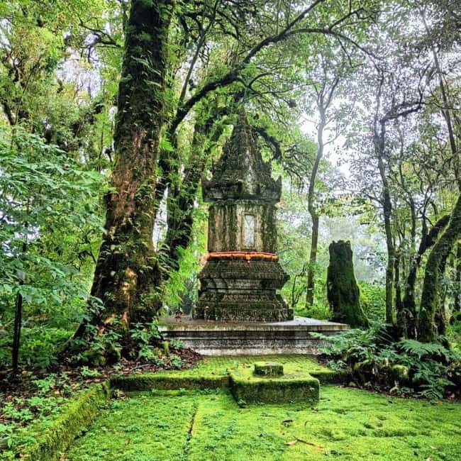 Chiang Mai: Doi Inthanon National Park+Trek Pha Dok Siew - King and Queen Pagodas and their gardens