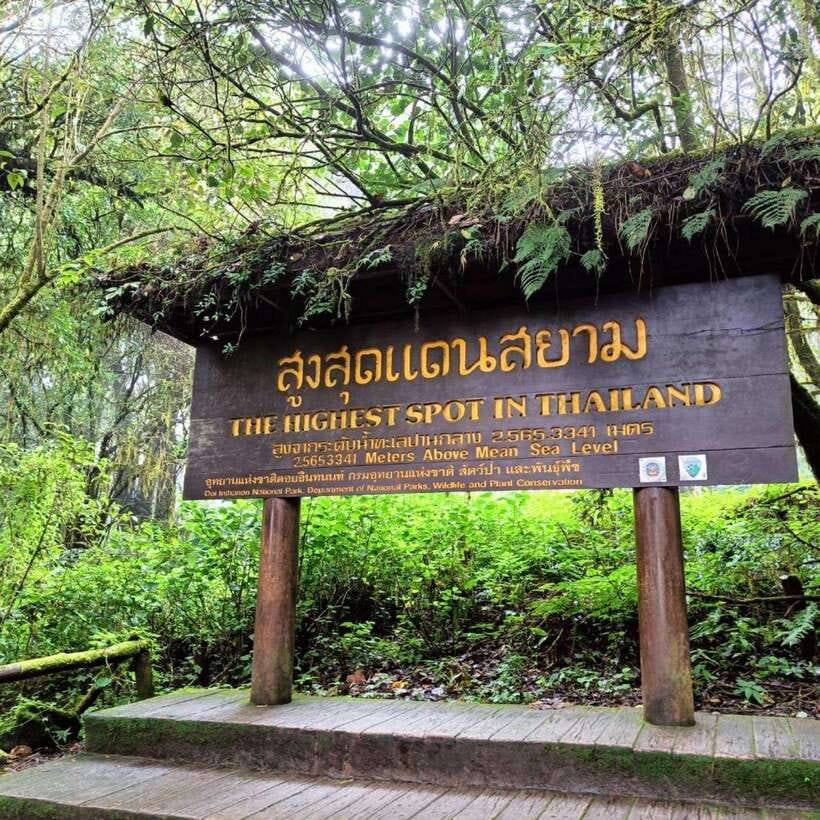 Chiang Mai: Doi Inthanon National Park & Waterfall Day Tour - The King and Queen’s pagodas and their gardens