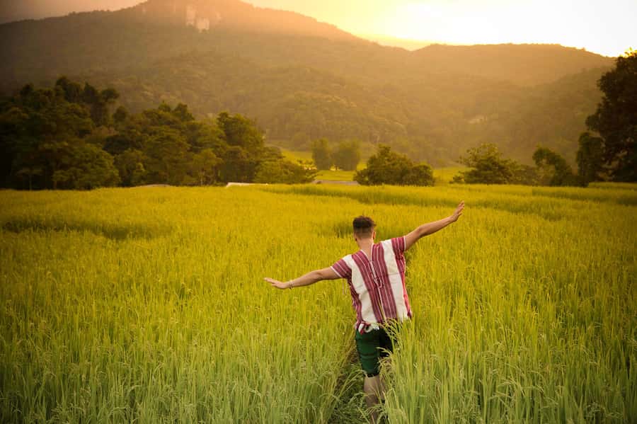 Chiang Mai: Doi Inthanon National Park, Waterfall & Lunch - Who Will Enjoy This Day Most?