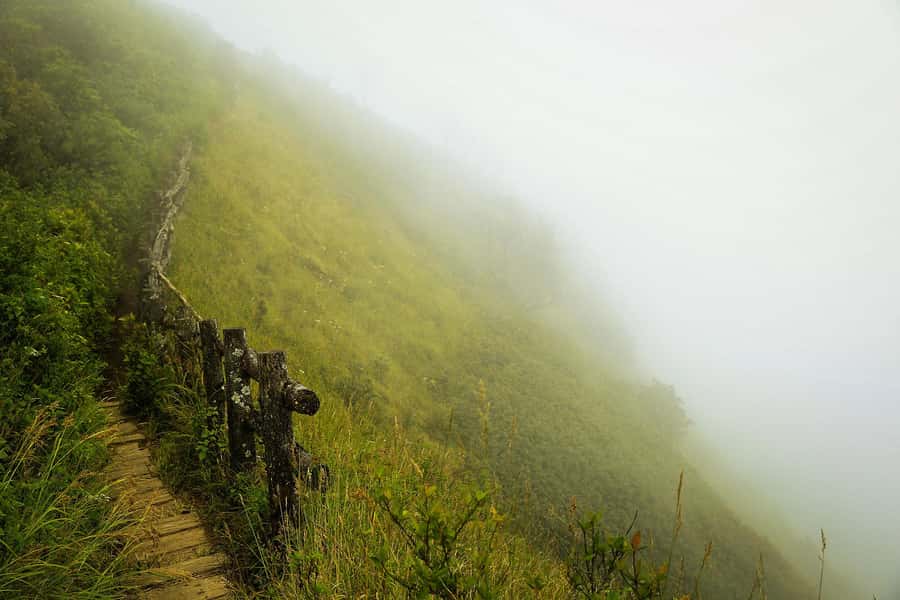 Chiang Mai: Doi Inthanon National Park, Waterfall & Lunch - Why Doi Inthanon Makes a Good Day Trip