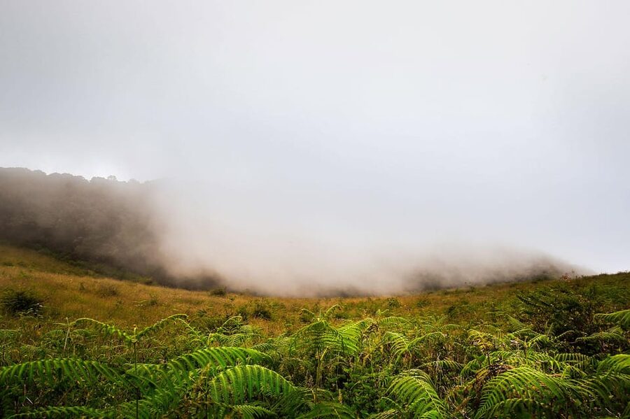 Chiang Mai: Doi Inthanon National Park, Waterfall & Lunch - A Karen Village and Lunch