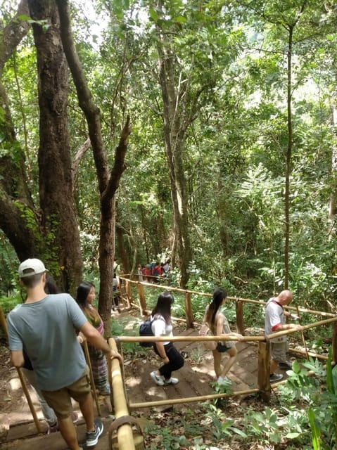 Chiang Mai: Doi Inthanon Park and Pha Dok Siew Hike Day Trip - Wachirathan Waterfall and the question of swimming