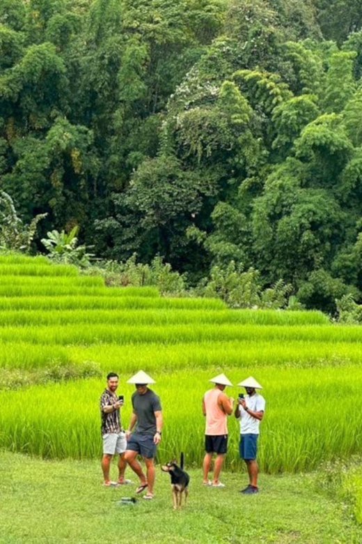 Chiang Mai: Doi Inthanon Park and Pha Dok Siew Trail Trek - Key points to know before you book