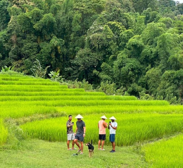 Chiang Mai: Doi Inthanon Park and Pha Dok Siew Trail Trek - The Hmong market and mountain villages
