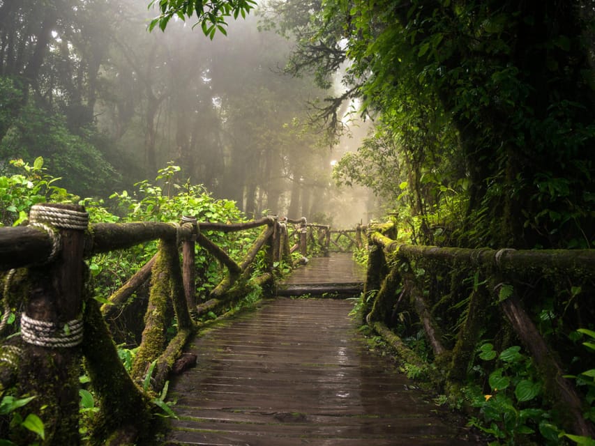 Chiang Mai: Doi Inthanon Park and Pha Dok Siew Trail Trek - Transport, group size, and what the $61 covers