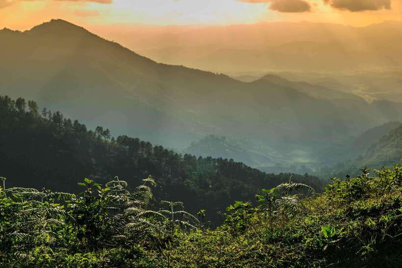 Chiang Mai: Doi Inthanon Park Tour & Kew Mae Pan Trail Hike - Lunch and the Value of the $51 Price