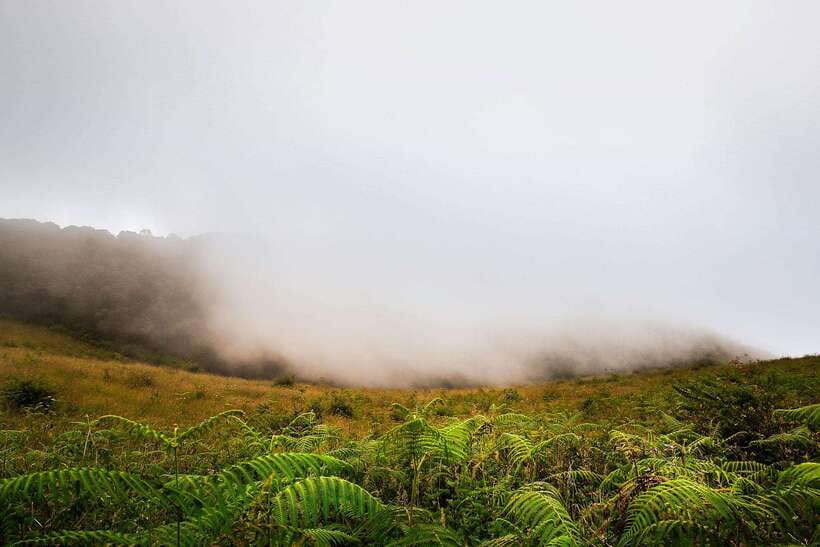 Chiang Mai: Doi Inthanon Park Tour & Kew Mae Pan Trail Hike - Who Should Book This Day