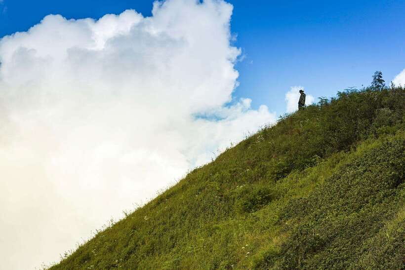 Chiang Mai: Doi Inthanon Park Tour & Kew Mae Pan Trail Hike - Practical Timing and Booking Advice