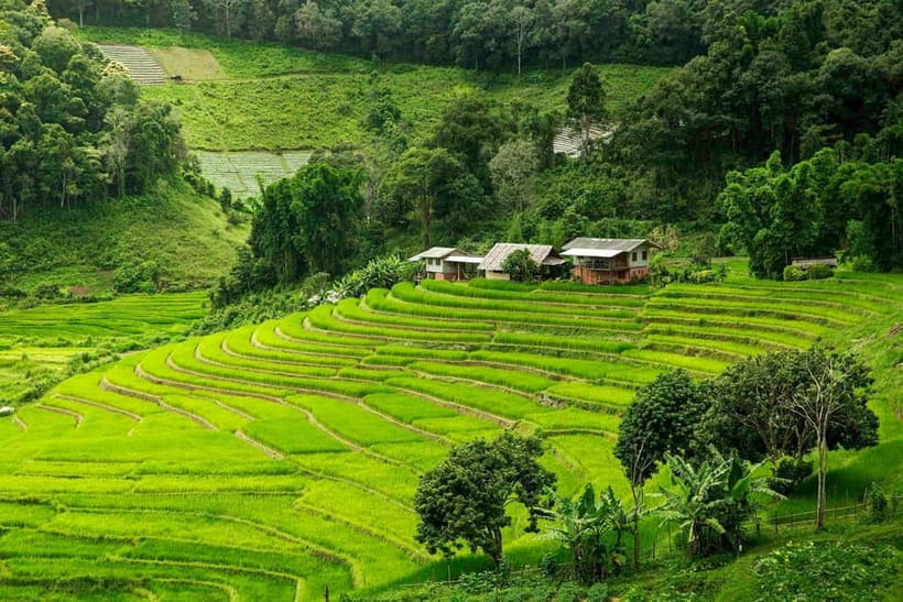 Chiang Mai: Doi Inthanon Trip with Pha Dok Siew Guided Trek - Key points to know before booking