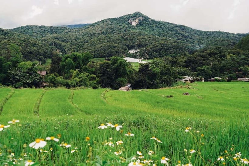 Chiang Mai: Doi Inthanon Trip with Pha Dok Siew Guided Trek - Who will enjoy this day most