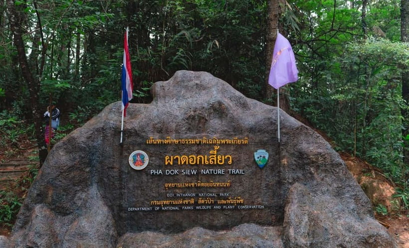 Chiang Mai: Doi Inthanon Trip with Pha Dok Siew Guided Trek - Thailand’s highest point, with realistic expectations