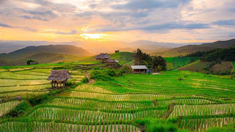 Chiang Mai: Doi Inthanon Trip with Pha Dok Siew Guided Trek - The King and Queen Pagodas and their mountain gardens