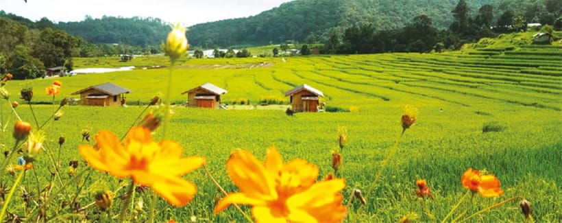 Chiang Mai: Doi Inthanon Trip with Pha Dok Siew Guided Trek - Wachirathan Waterfall and the final return