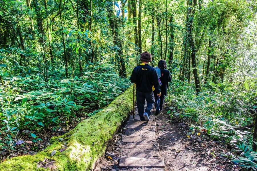 Chiang Mai: Doi Inthanon, Waterfalls, & Tribal Villages Tour - Guides make the biggest difference