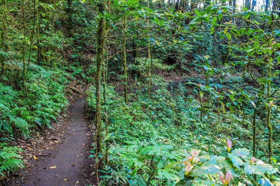 Chiang Mai: Doi Inthanon, Waterfalls, & Tribal Villages Tour - Transport, comfort, and the long road