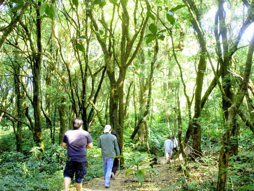 Chiang Mai: Doi Inthanon, Waterfalls, & Tribal Villages Tour - Who should take this tour?