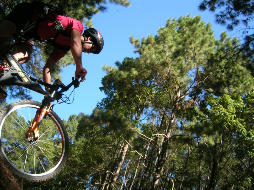 Chiang Mai: Doi Suthep National Park Leisure Hiking & Biking - Who will get the most from this outing?