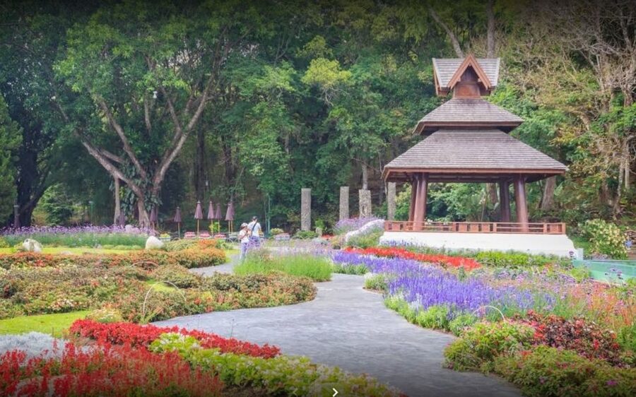 Chiang Mai: Doi Suthep National Park Leisure Hiking & Biking - How difficult is the cycling and hiking?