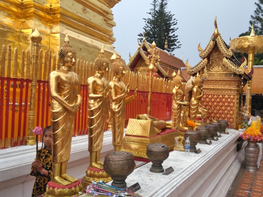 Chiang Mai: Doi Suthep National Park Leisure Hiking & Biking - What the $60 price covers