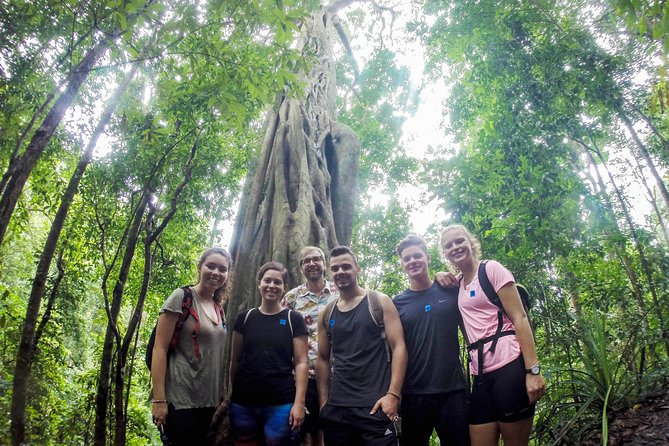 Chiang Mai: Doi Suthep Summit Trek – 7 Hour Pure Hiking Adventure - Key points to know before booking