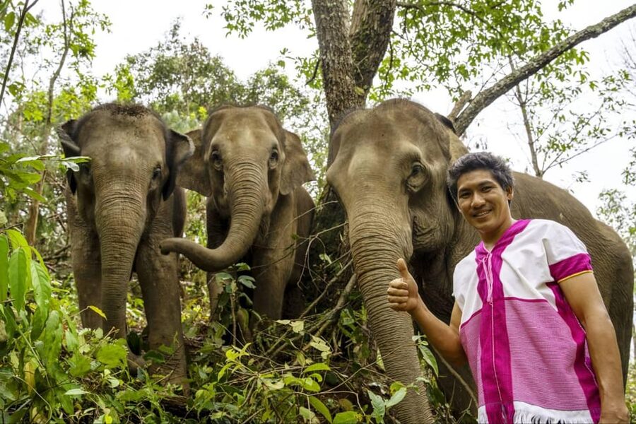 Chiang Mai: Elephant Dream Project Sanctuary - Half-Day - The return to Chiang Mai and the real value