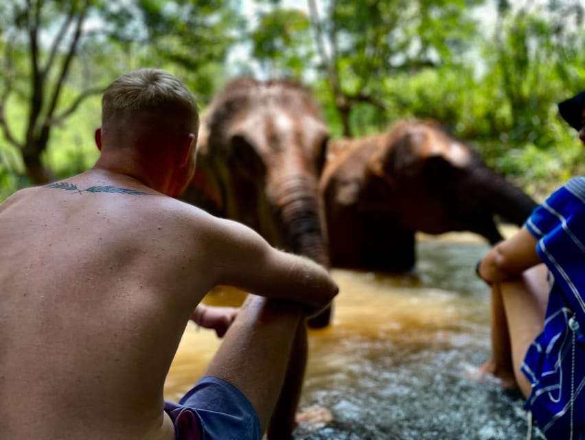 Chiang Mai: Elephant Dream Project Sanctuary - Half-Day - The early Chiang Mai pickup and mountain drive