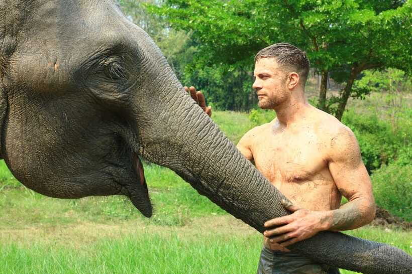 Chiang Mai: Elephant Feeding Experience - How this compares with a larger elephant program
