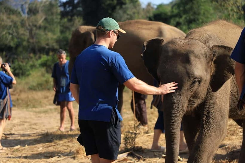 Chiang Mai: Elephant Sanctuary Bamboo Raft & Padthai Cooking - Why this elephant day feels different