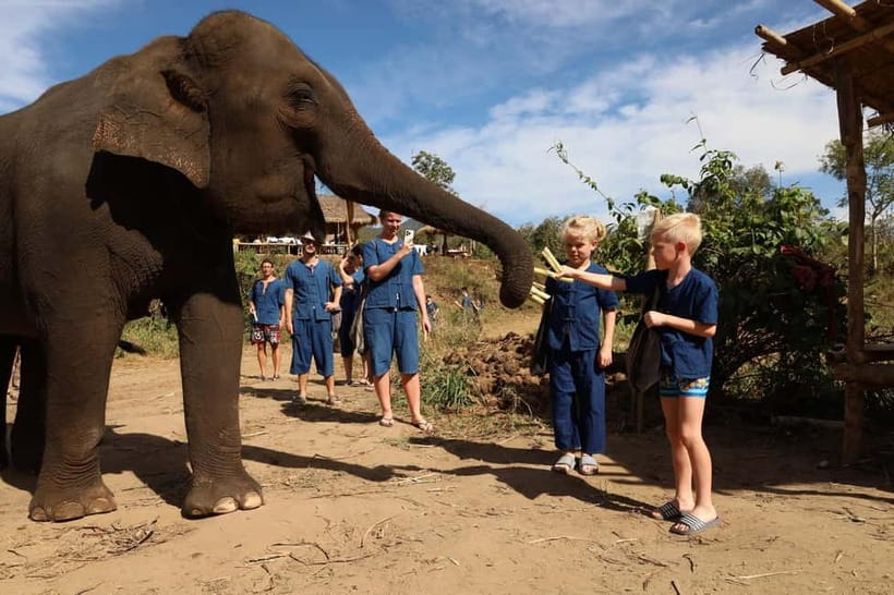 Chiang Mai: Elephant Sanctuary Bamboo Raft & Padthai Cooking - The 8:00 pickup and the road to the mountains