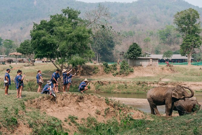 Chiang Mai Elephant Sanctuary, Bamboo Rafting and Waterfall Tour - Who should book this day