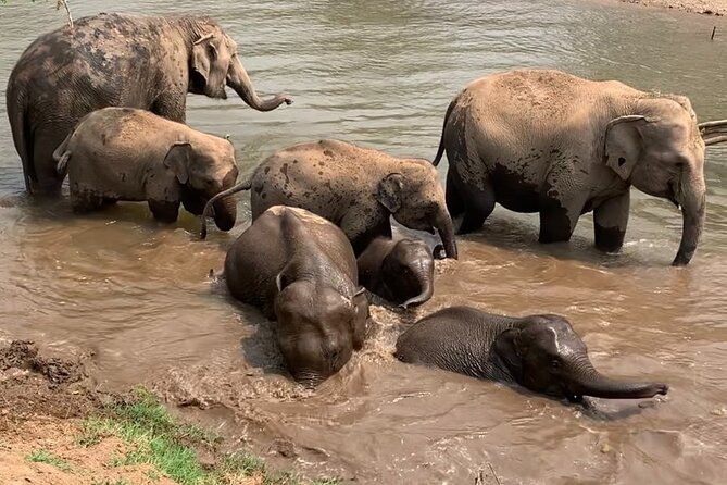 Chiang Mai Elephant Sanctuary, Bamboo Rafting and Waterfall Tour - Practical details before you go