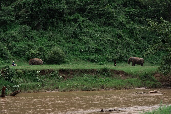 Chiang Mai Elephant Sanctuary, Bamboo Rafting and Waterfall Tour - Climbing Bua Thong Waterfall barefoot