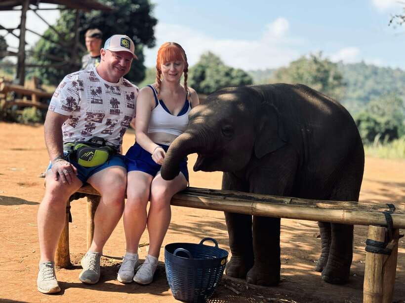Chiang Mai: Elephant Sanctuary Feeding Program Half-Day Tour - Key points to know before booking