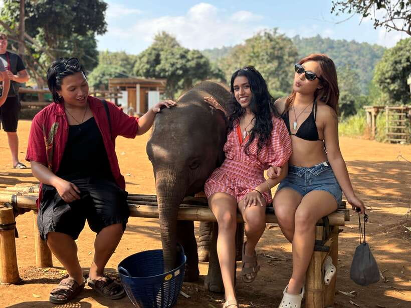 Chiang Mai: Elephant Sanctuary Feeding Program Half-Day Tour - Meeting the sanctuary team