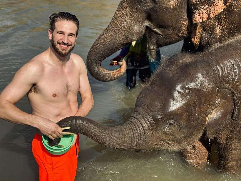 Chiang Mai: Elephant Sanctuary Feeding Program Half-Day Tour - Walking between the four stations